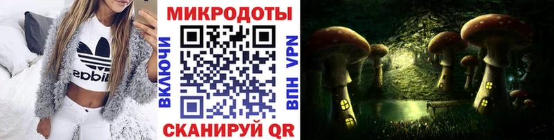 Галлюциногенные грибы GOLDEN TEACHER  где купить наркоту  Пролетарск 